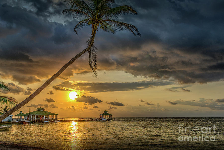 San Pedro Belize C.A. Photograph by David Zanzinger