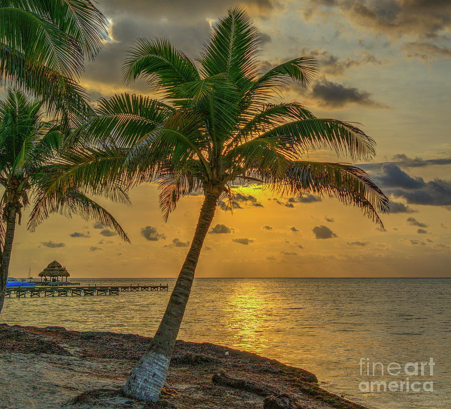 San Pedro Belize Sunrise Photograph by David Zanzinger