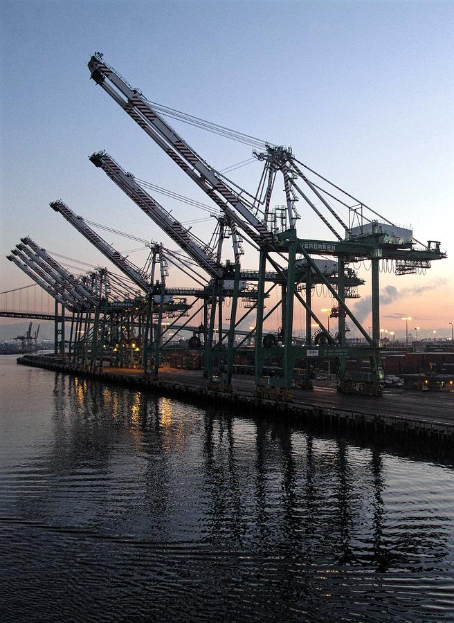 San Pedro Container Cranes Photograph by Martine Murphy