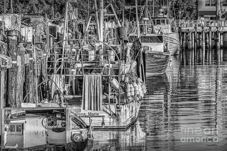San Pedro Fishing Fleet Photograph by David Zanzinger