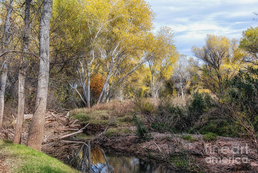 San Pedro River In Fall Photograph by Al Andersen