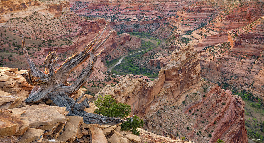 San Rafael Canyon Photograph by Leland D Howard