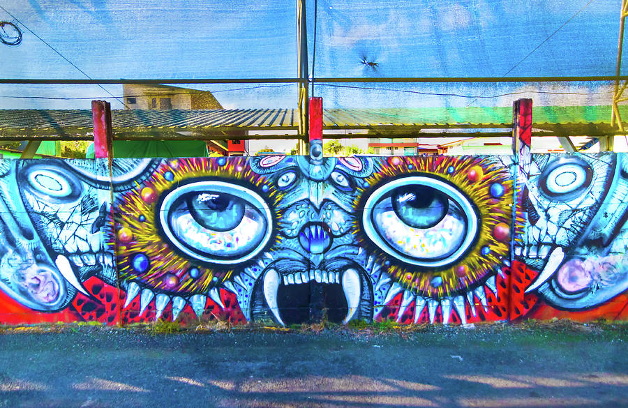 San Ramon Two Eyed Graffiti Wall Art Photograph