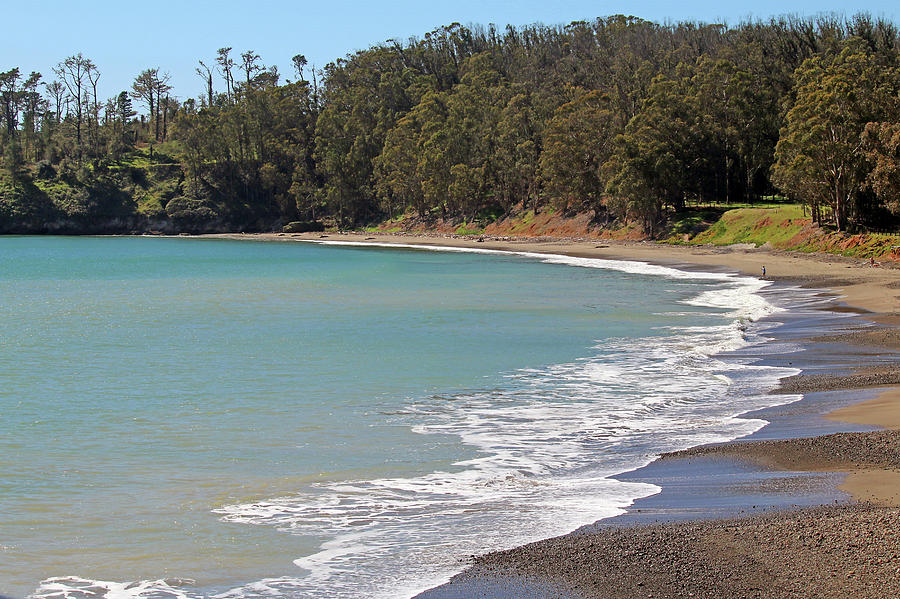San Simeon Cove Photograph by Art Block Collections