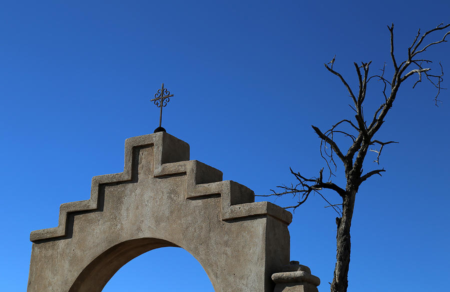 San Xavier Cross and Tree Photograph by Mary Bedy