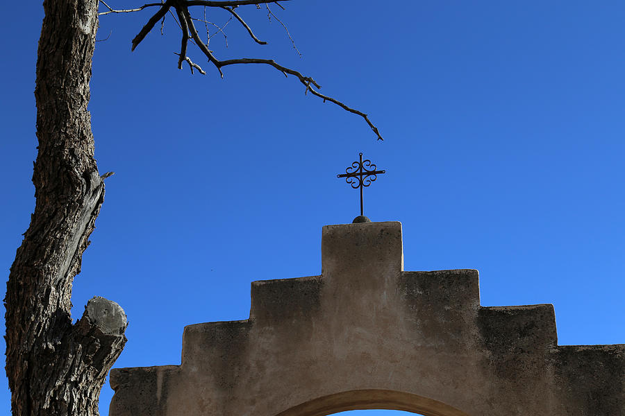 San Xavier Cross Arch and Tree Photograph by Mary Bedy