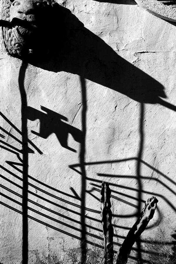San Xavier Gate Shadow with Cactus 1 BW Photograph by Mary Bedy