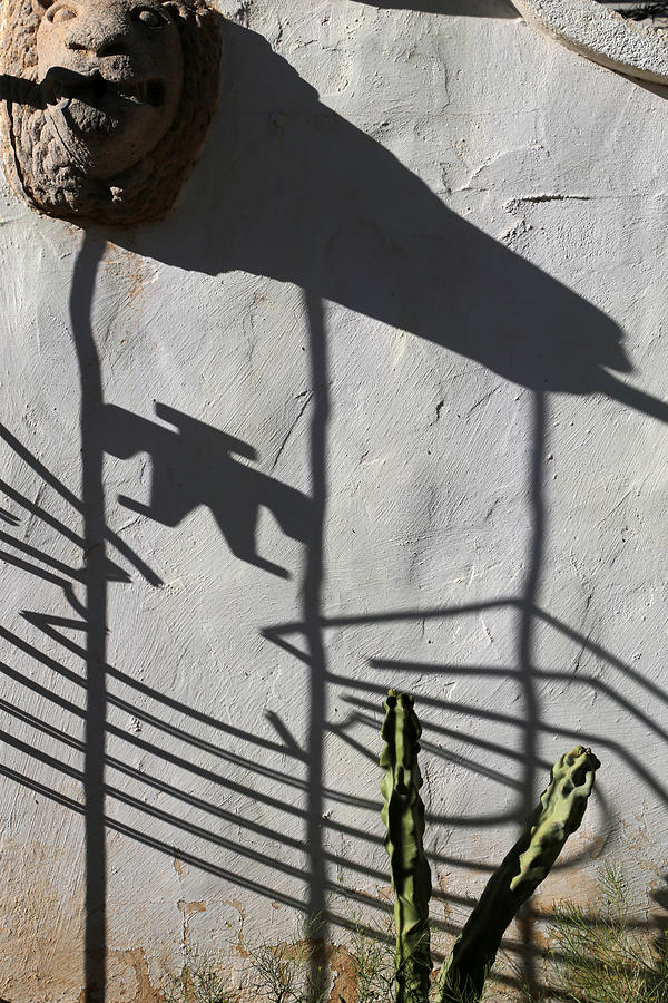 San Xavier Gate Shadow with Cactus 1 Photograph by Mary Bedy