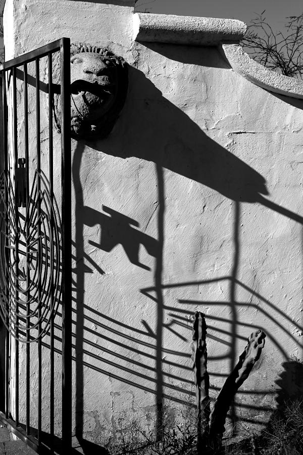San Xavier Gate Shadow with Cactus 2 BW Photograph by Mary Bedy