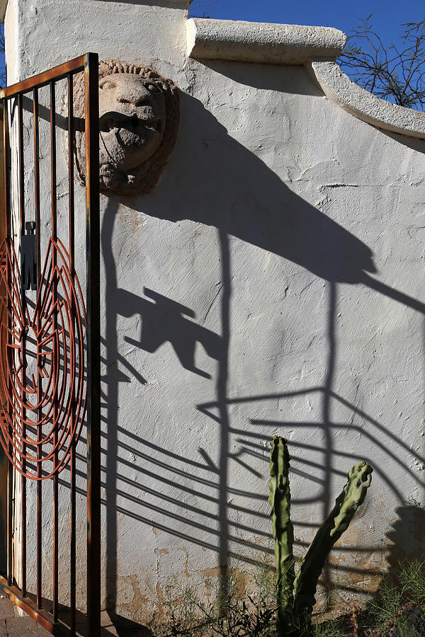 San Xavier Gate Shadow with Cactus 2 Photograph by Mary Bedy