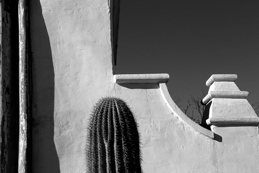 San Xavier Wall Detail with Cactus BW Photograph by Mary Bedy