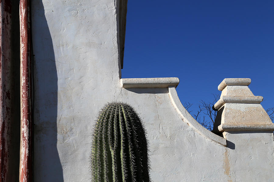San Xavier Wall Detail with Cactus Photograph by Mary Bedy