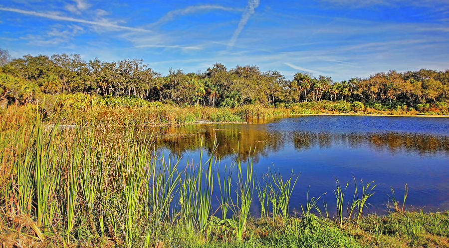 Sanctuary 2 Photograph by HH Photography of Florida