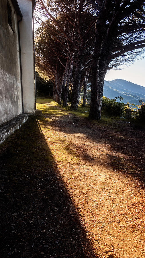 Sanctuary Shadows in Riomaggiore Cinque Terre Italy Photograph by Joan Carroll