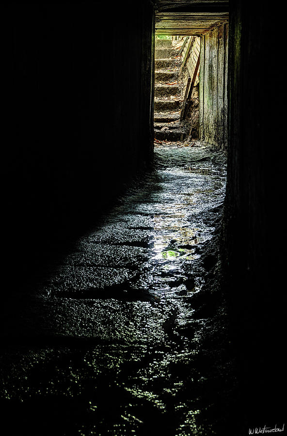 Sanctuary Wood Trench Tunnel - Ypres Photograph by Weston Westmoreland
