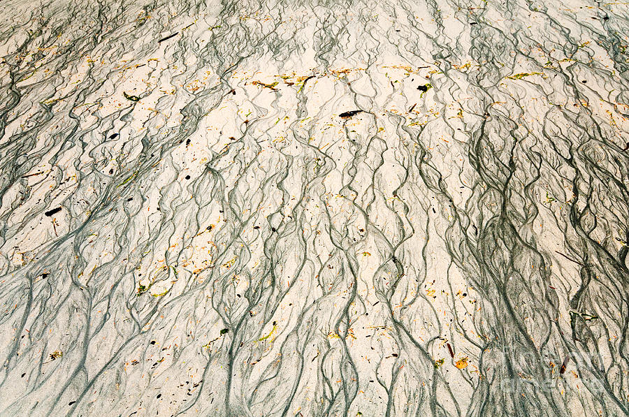Sand abstracts. Photograph by Emilio Lovisa