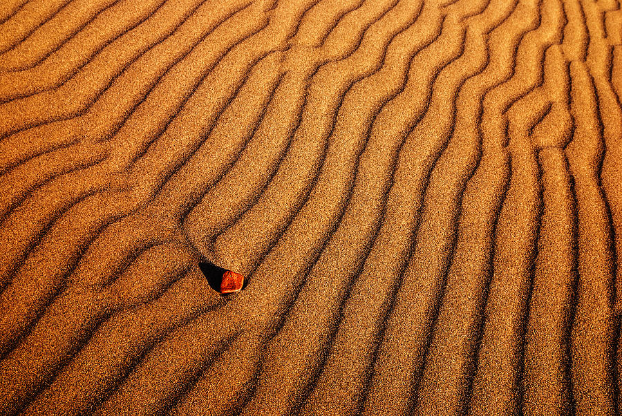Nature Photograph - Sand and a pebble by Vishwanath Bhat