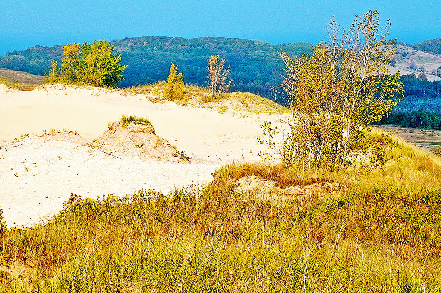 Sand and Dune Grass in Sleeping Bear Dunes National Lakeshore-Michigan Photograph by Ruth Hager