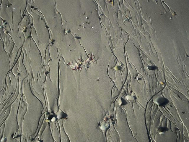 Sand and Pebbles Photograph by Nadalyn Larsen