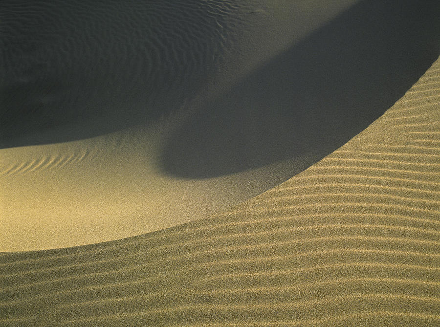Sand and Shadows Photograph by Robert Potts