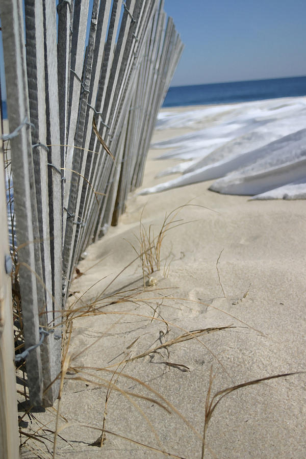 Sand And Snow Photograph by Mary Haber