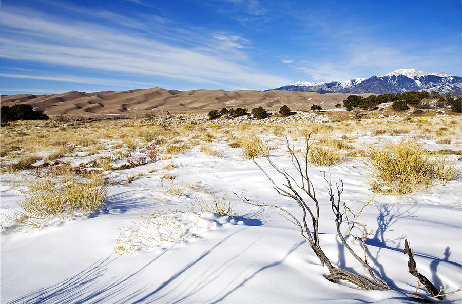 Winter Photograph - Sand and Snow by Michael Dawson