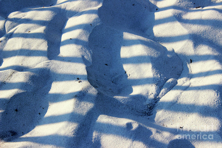 Sand Art #2 2016 Photograph by Karen Adams