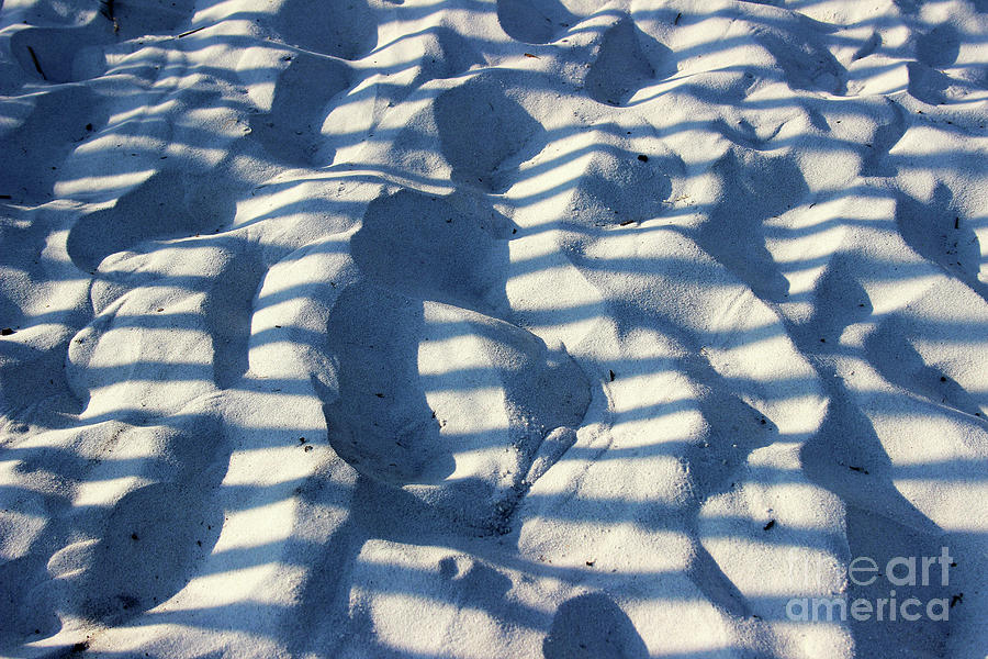 Sand Art #3 2016 Photograph by Karen Adams