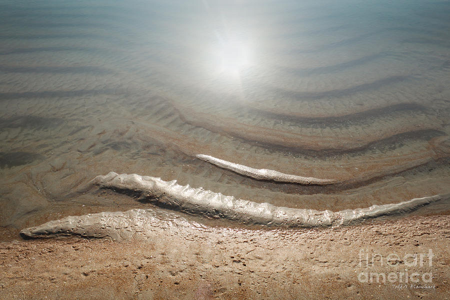 Sand Art No. 10 Photograph by Todd Blanchard