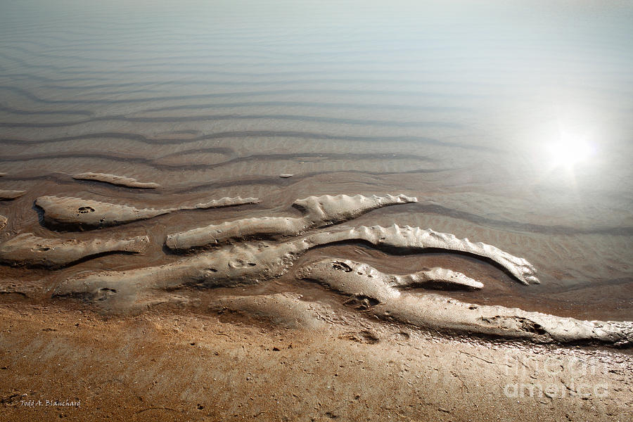 Sand Art No. 12 Photograph by Todd Blanchard