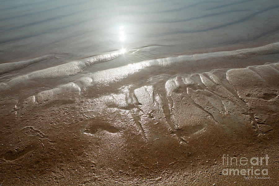 Sand Art No. 15 Photograph by Todd Blanchard