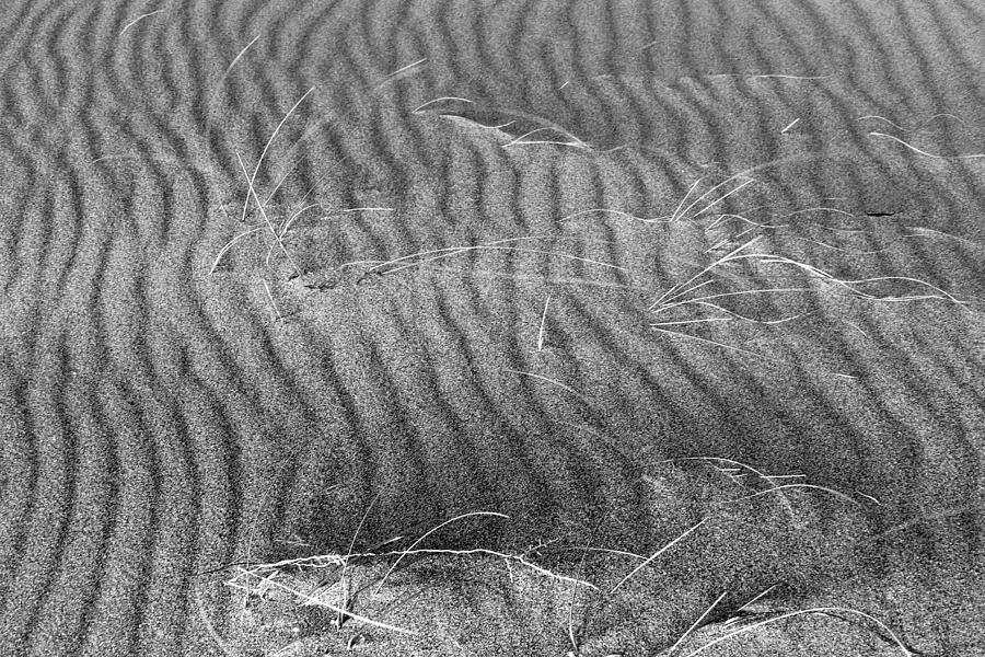 Sand Art Photograph by Robert Wilder Jr