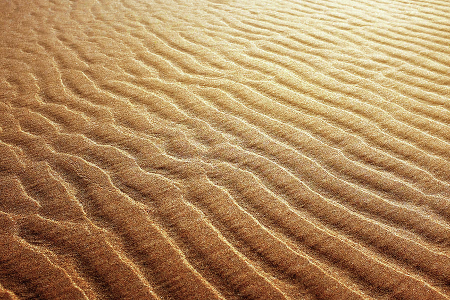 Sand Background Photograph by Carlos Caetano