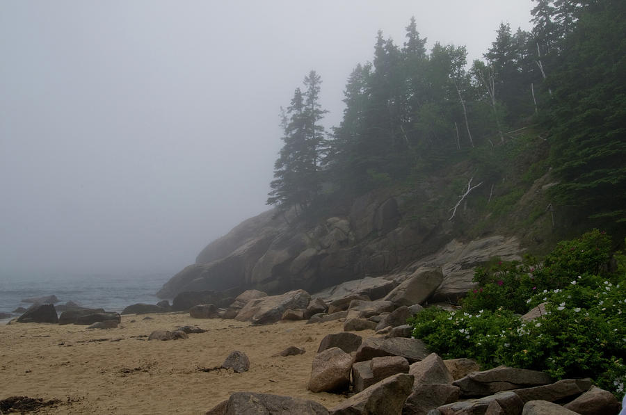 Sand Beach in a Fog Photograph by Paul Mangold