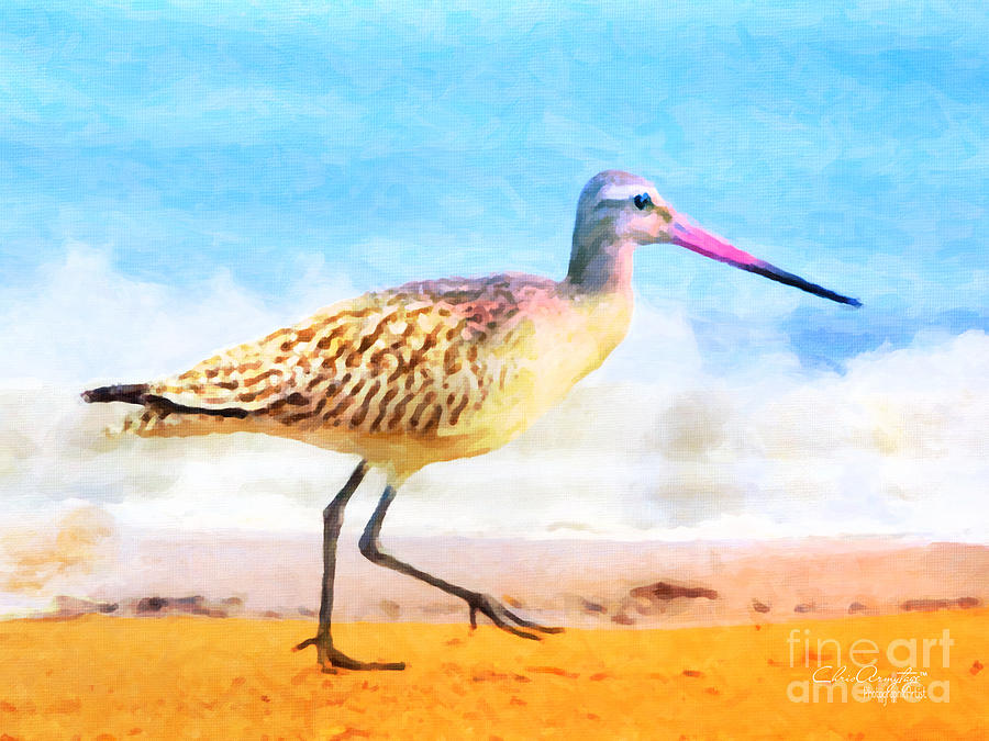 Sand between my toes ... Painting by Chris Armytage