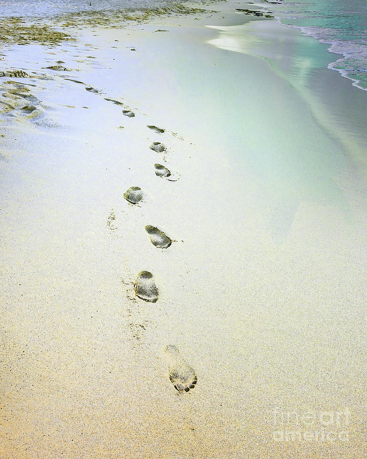 Sand Between My Toes Photograph By Betty Larue Fine Art America