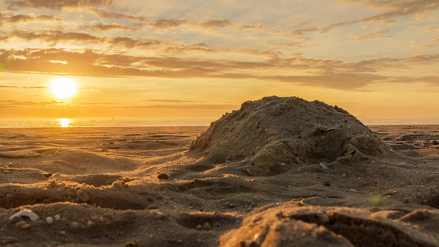 Sand castle remains at Sunrise Photograph by SAURAVphoto Online Store