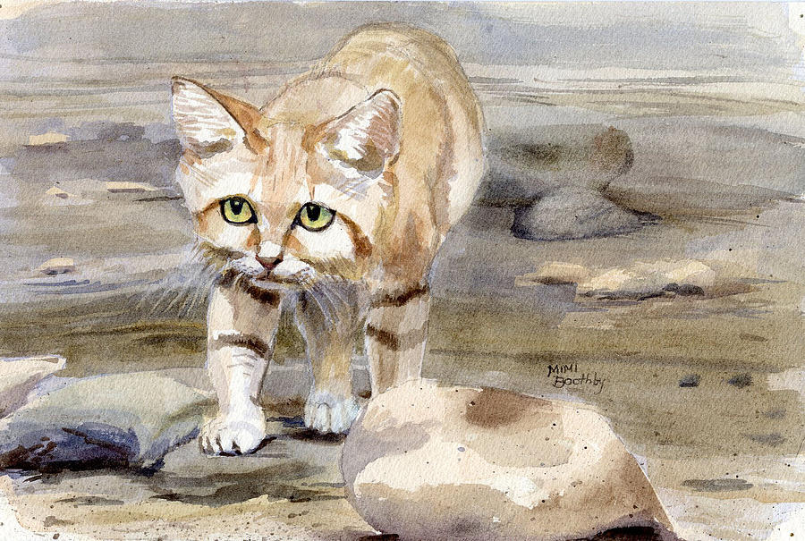 Sand Cat - Felis Margarita Painting by Mimi Boothby