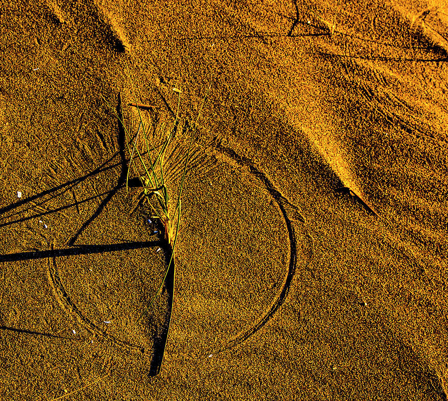 Sand Circle Photograph by Angus Hooper Iii - Fine Art America