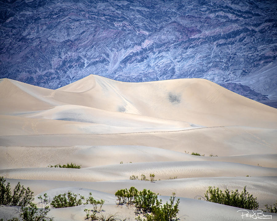 Sand Desert USA Photograph by Patrick Boening