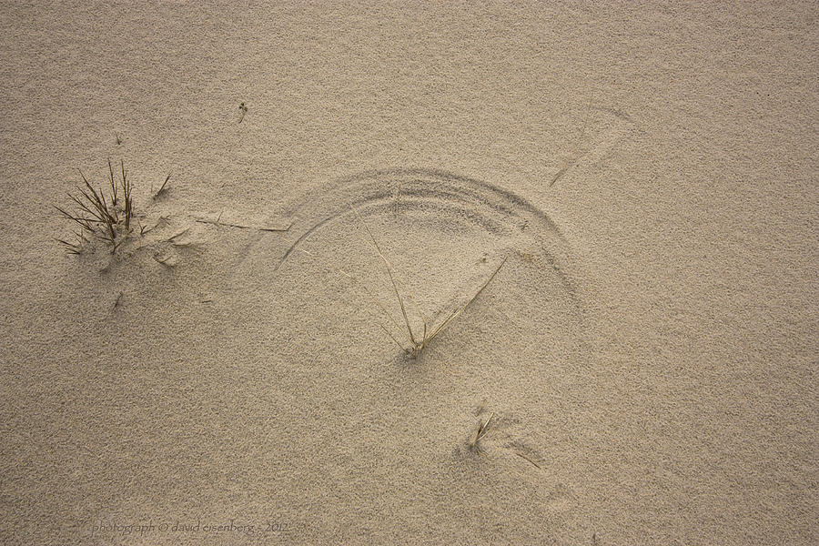 Sand Dial south of Hopiland Photograph by David Eisenberg Pixels