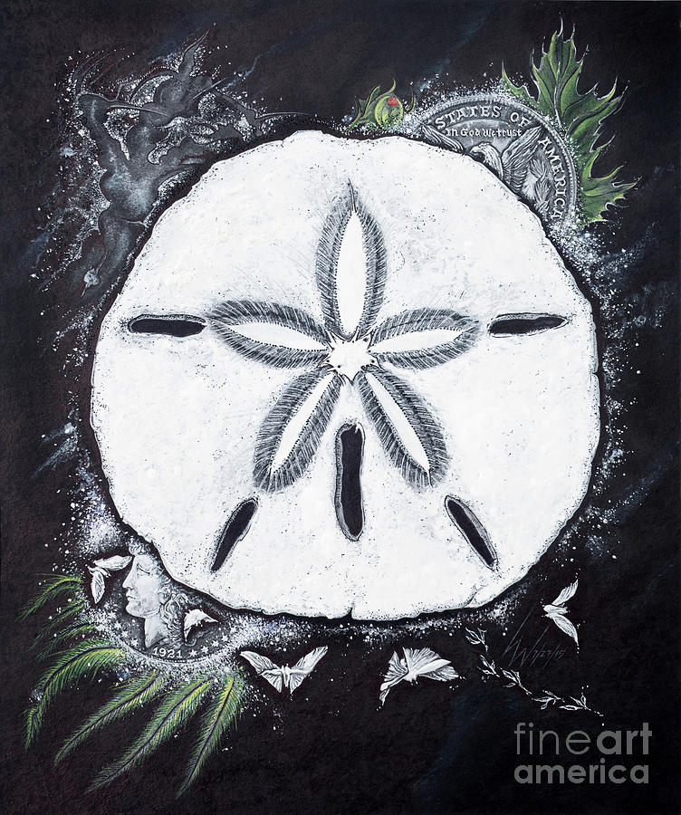 Sand Dollars Drawing by Scott and Dixie Wiley