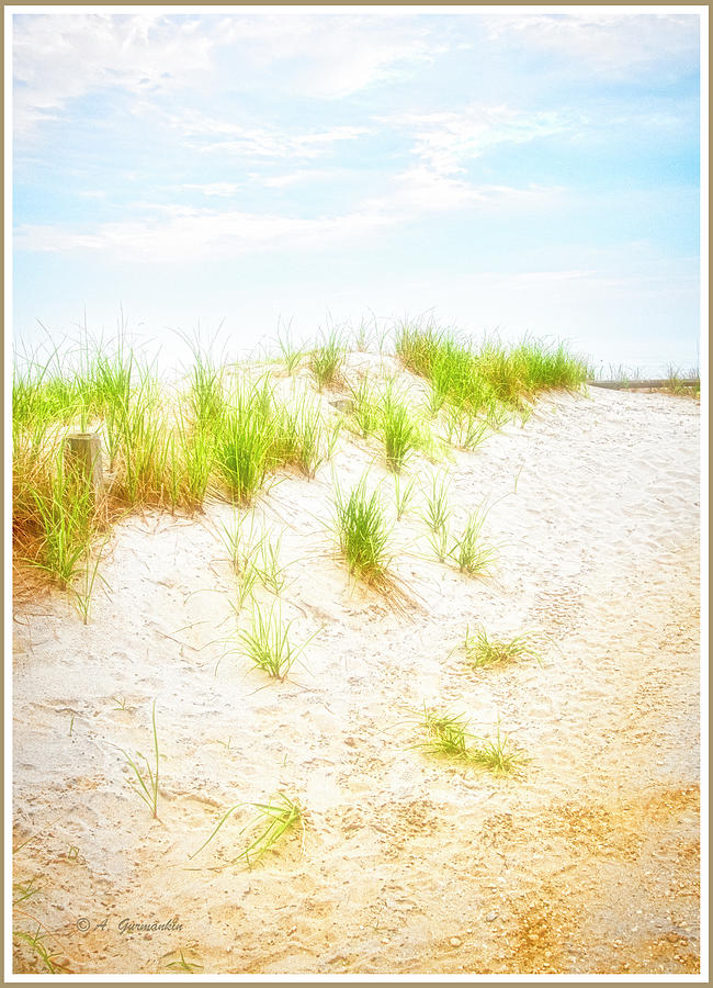 Sand Dune and Dune Grass, Hot Summer Afternoon Digital Art by A Macarthur Gurmankin