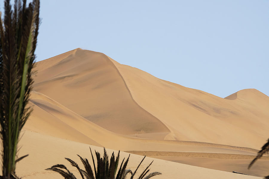 Sand Dune at Dune 7 Namibia Photograph by Ernest Echols
