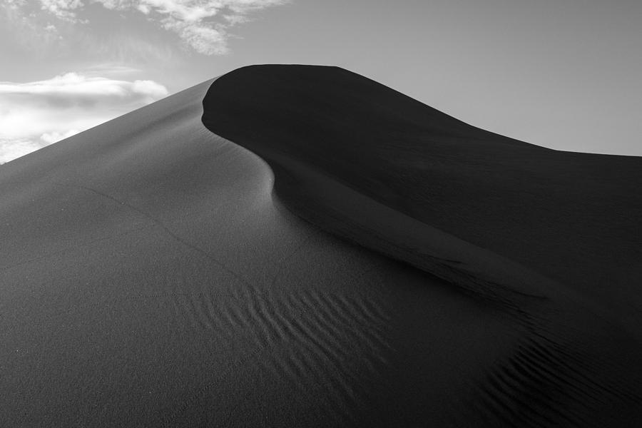 Sand Dune Beetle Tracks Photograph by TM Schultze