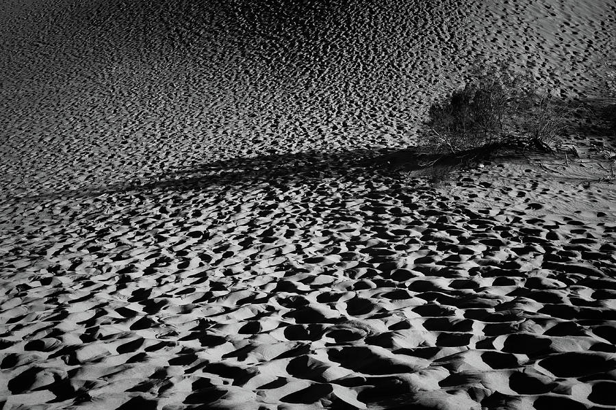 Sand Dune Photograph by Catherine Lau