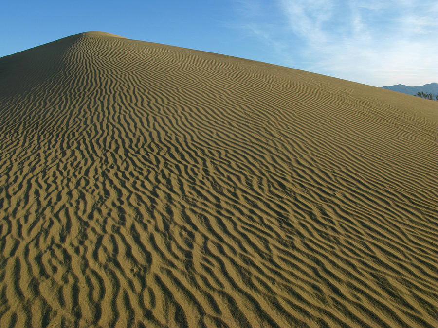 Sand Dune Photograph by Inge Riis McDonald