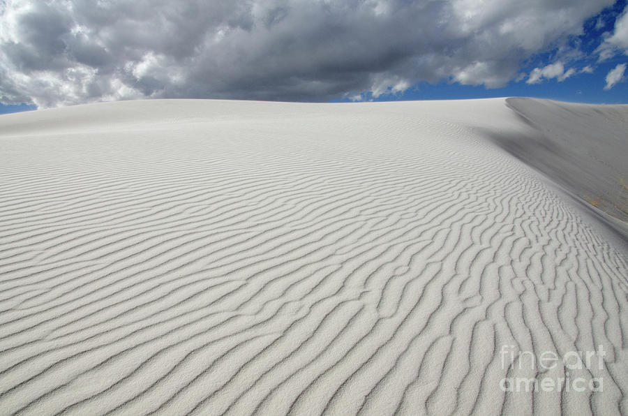Sand Dune Magic 1 Photograph by Bob Christopher