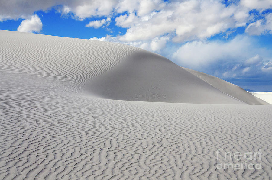 Sand Dune Magic 3 Photograph by Bob Christopher