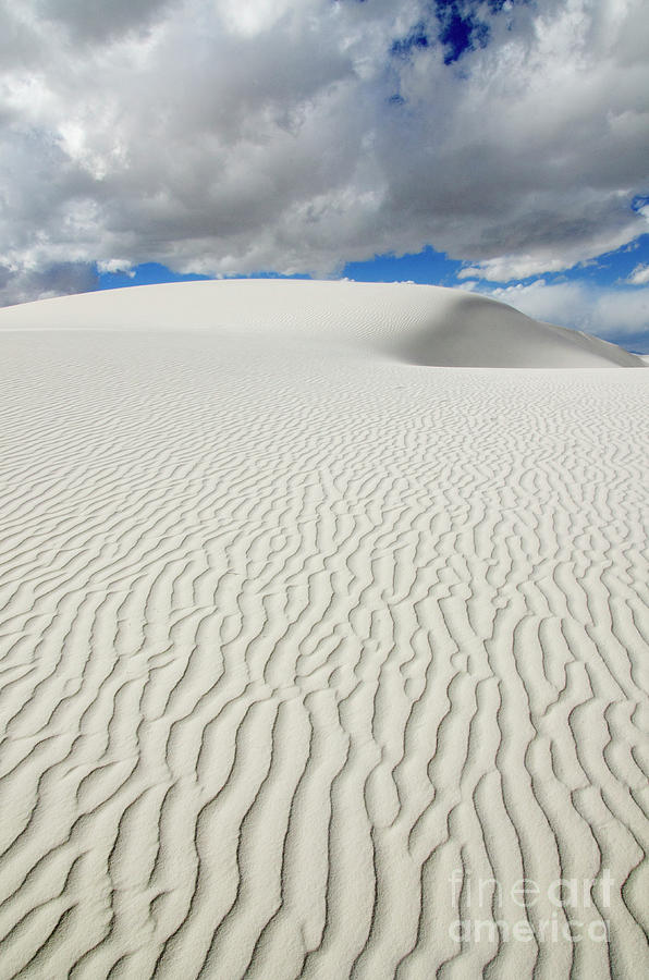 Sand Dune Magic 4 Photograph by Bob Christopher